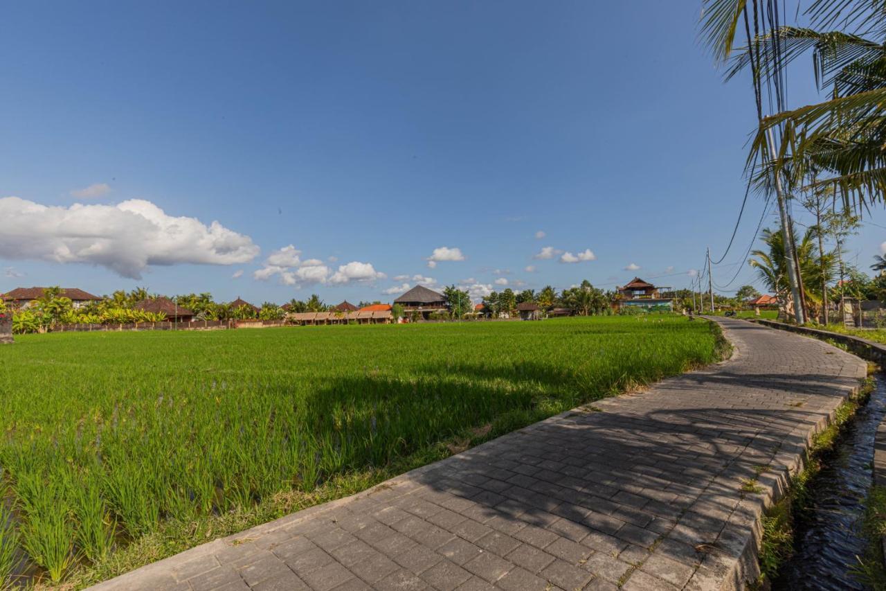 Niluh Private Villas Ubud Eksteriør bilde