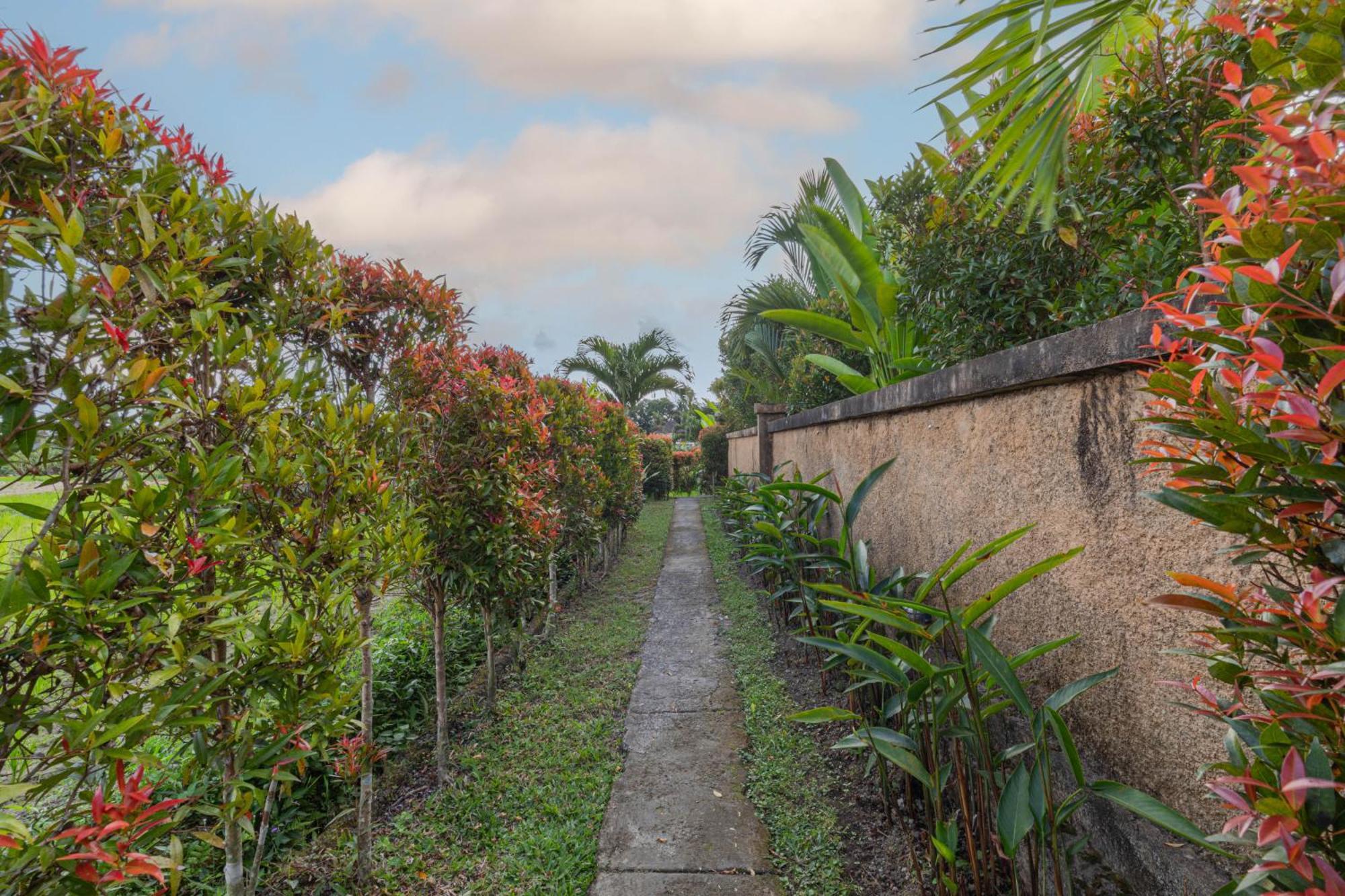 Niluh Private Villas Ubud Eksteriør bilde
