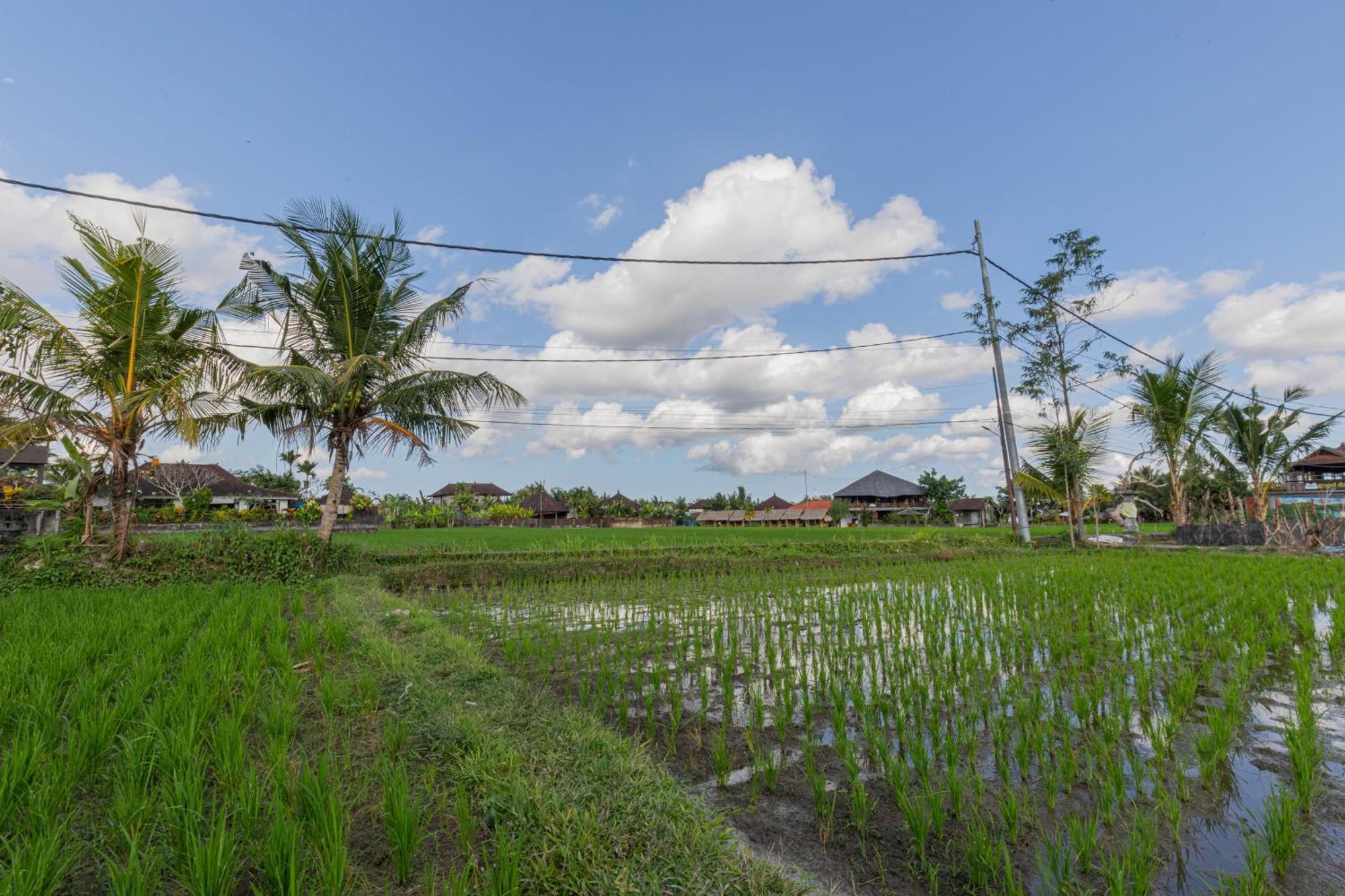 Niluh Private Villas Ubud Eksteriør bilde
